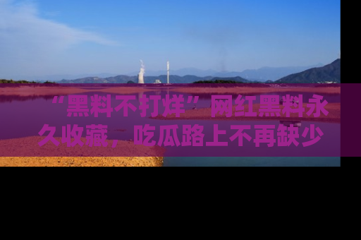 “黑料不打烊”网红黑料永久收藏，吃瓜路上不再缺少惊喜与乐趣