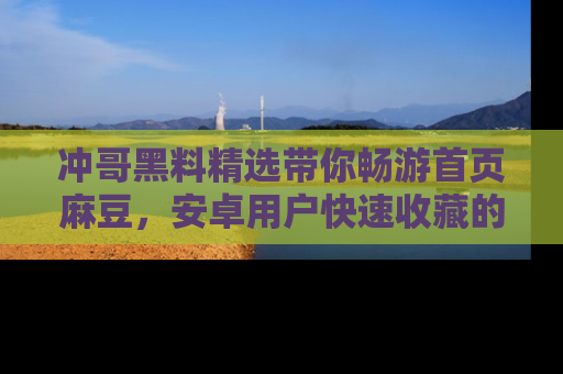 冲哥黑料精选带你畅游首页麻豆，安卓用户快速收藏的秘密武器！