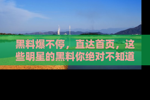 黑料爆不停，直达首页，这些明星的黑料你绝对不知道！