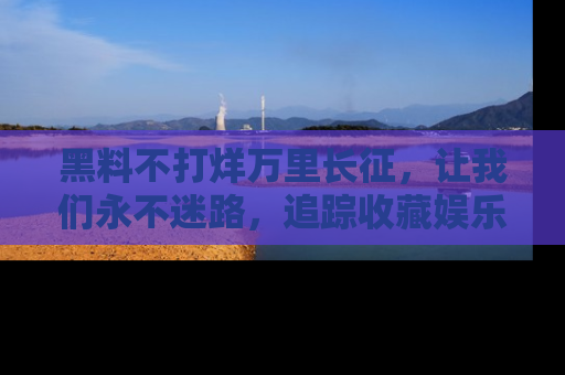 黑料不打烊万里长征，让我们永不迷路，追踪收藏娱乐爆料的乐趣！
