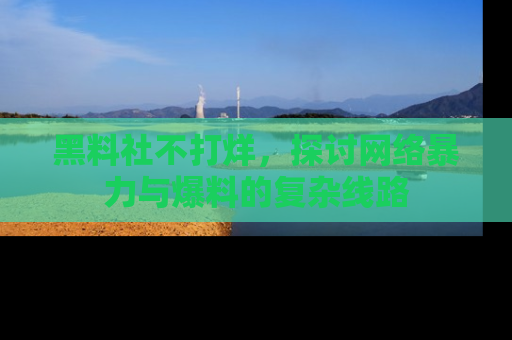 黑料社不打烊，探讨网络暴力与爆料的复杂线路