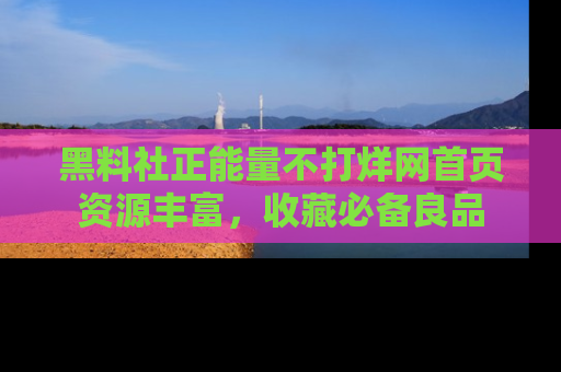 黑料社正能量不打烊网首页资源丰富，收藏必备良品