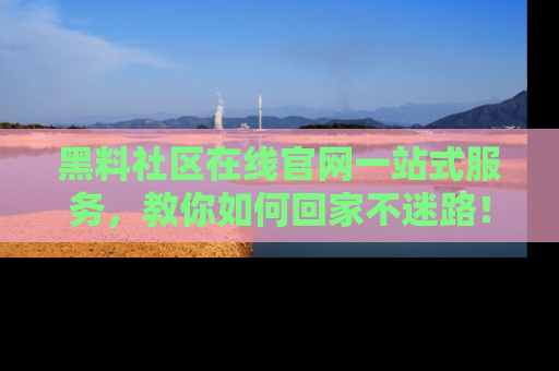 黑料社区在线官网一站式服务，教你如何回家不迷路！
