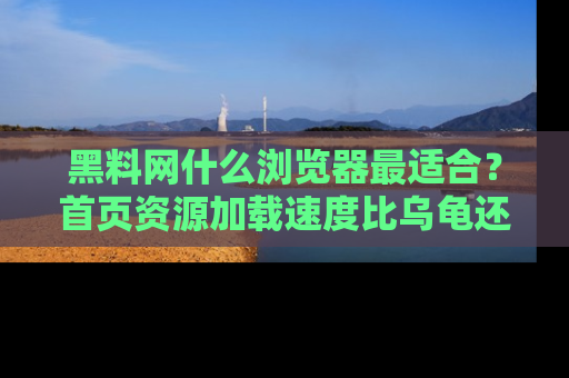 黑料网什么浏览器最适合？首页资源加载速度比乌龟还慢的体验真心吐槽！