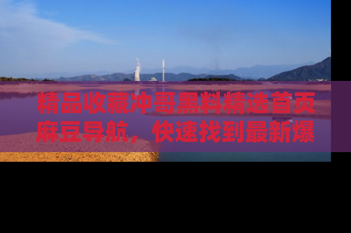 精品收藏冲哥黑料精选首页麻豆导航，快速找到最新爆料