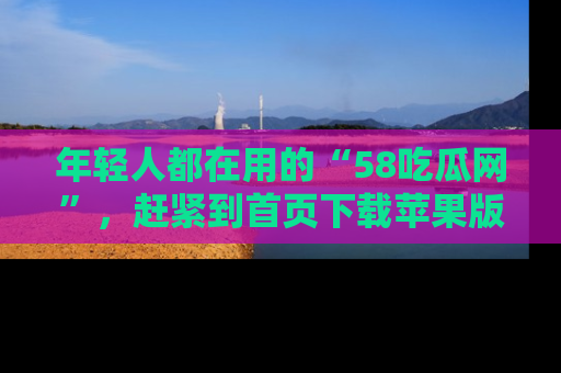 年轻人都在用的“58吃瓜网”，赶紧到首页下载苹果版吧！