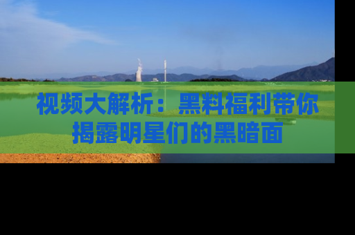 视频大解析:黑料福利带你揭露明星们的黑暗面