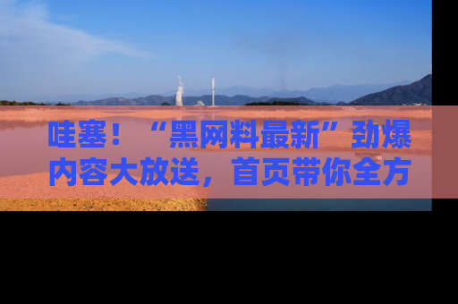 哇塞！“黑网料最新”劲爆内容大放送，首页带你全方位了解哦，小可爱们