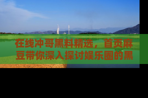 在线冲哥黑料精选,首页麻豆带你深入探讨娱乐圈的黑暗面